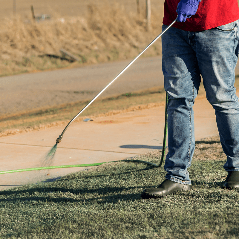 a person spraying grass with a hose