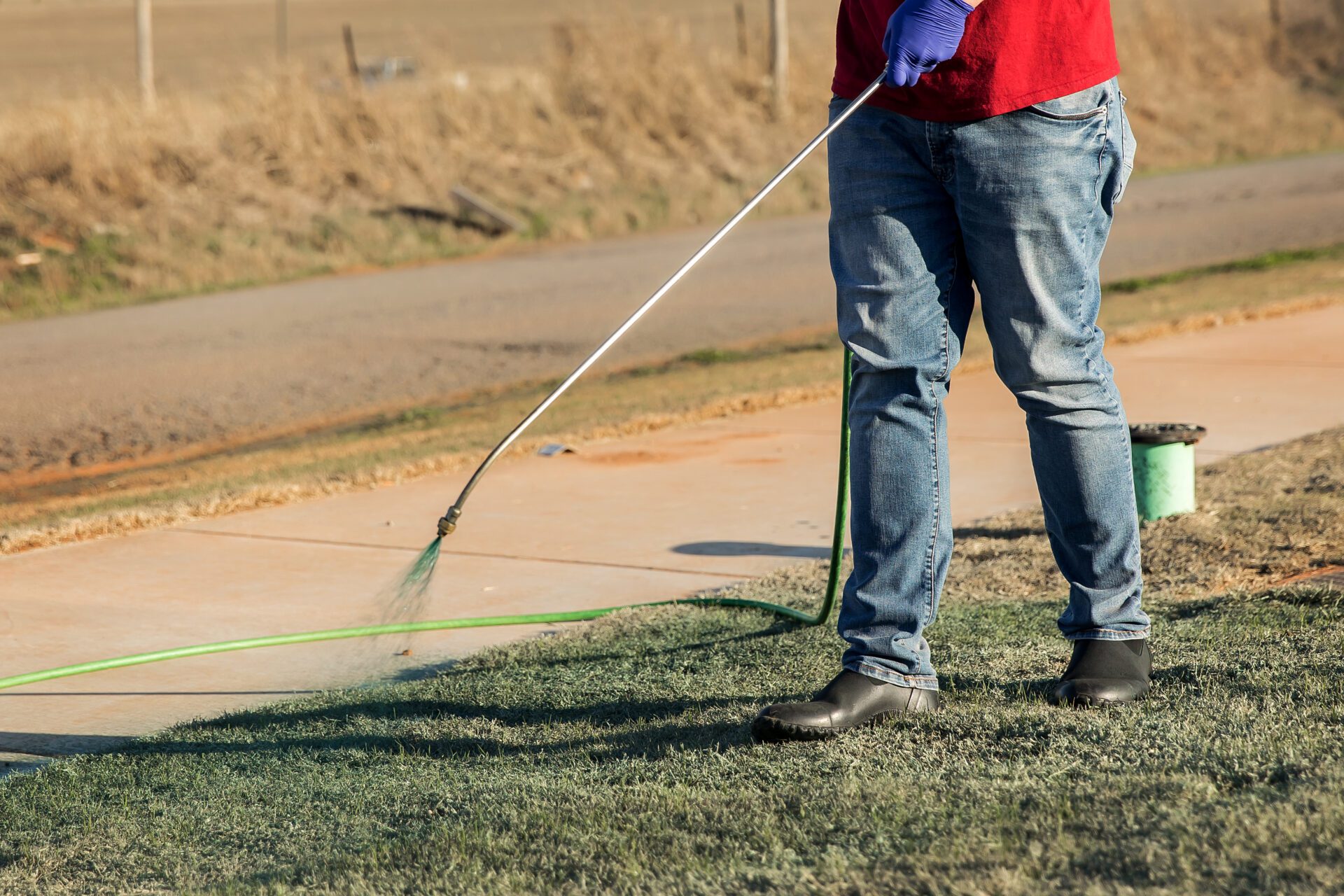 a person spraying grass with a hose